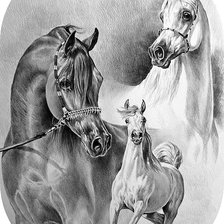 Оригинал схемы вышивки «Серия "Лошади, кони"» (№978636)