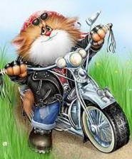 Оригинал схемы вышивки «кот мотоциклист» (№979259)