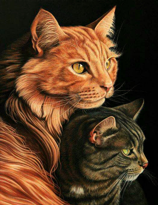 Серия "Домашние любимцы" - котики, красавцы, портрет, коты - оригинал