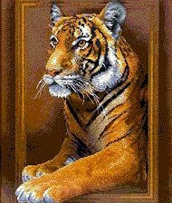 Оригинал схемы вышивки «тигр» (№981079)