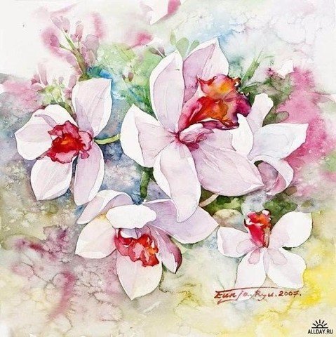 Нежные цветочные акварели Ryu Eunja № 1 - искусство, живопись, картина, цветы - оригинал