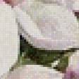 Предпросмотр схемы вышивки «Нежные цветочные акварели Ryu Eunja № 9» (№981953)