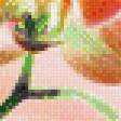 Предпросмотр схемы вышивки «цветы и бабочка» (№982262)