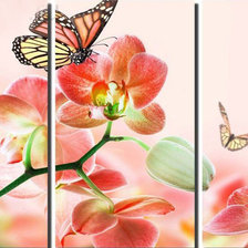 Оригинал схемы вышивки «цветы и бабочка» (№982262)