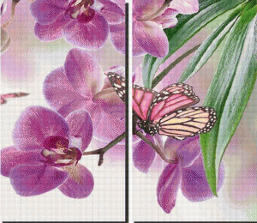 цветы и бабочка - бабочка, диптих, цветы - предпросмотр