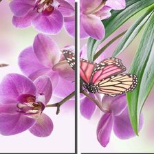 Схема вышивки «цветы и бабочка»