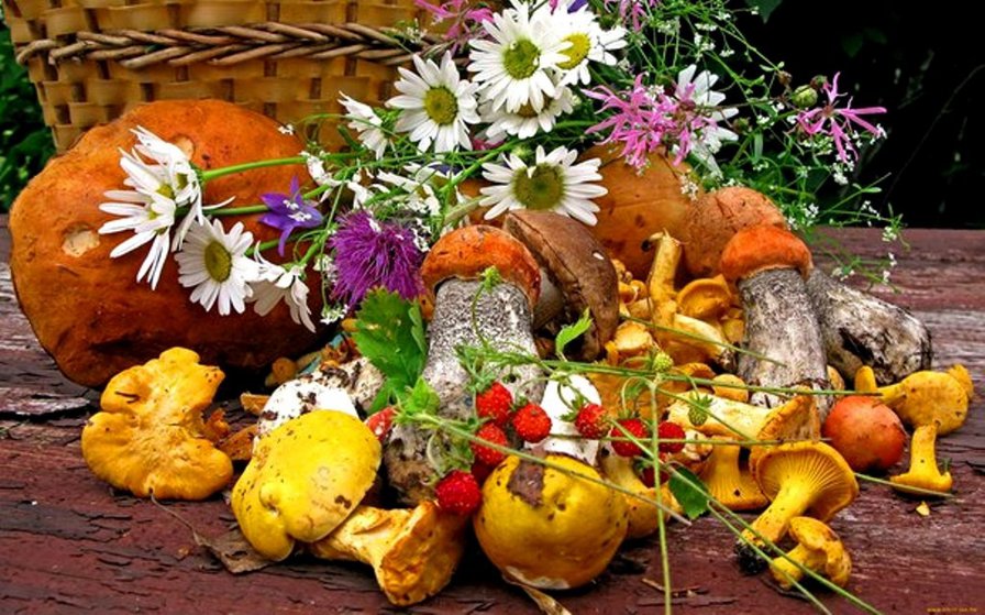 дары осени - грибы, ромашки, осень - оригинал