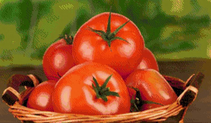 помидоры - овощи - предпросмотр