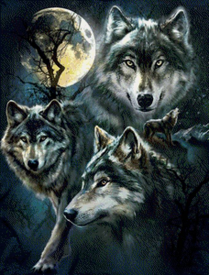 3 волка - предпросмотр