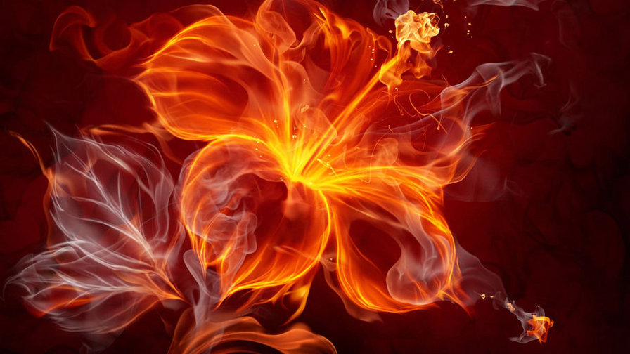 Огненный цветок - огонь, цветок - оригинал