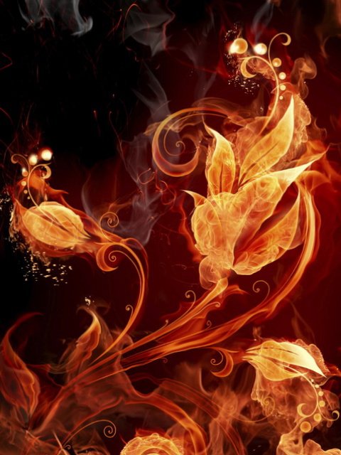 Огненный цветок-2 - огонь, цветок - оригинал