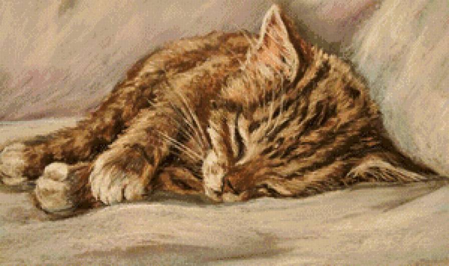 Домашние любимцы - спящий котенок - предпросмотр