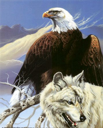 Орёл и волк - орел, птица, природа, волк, животные - оригинал