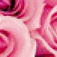 Предпросмотр схемы вышивки «Розы» (№983903)