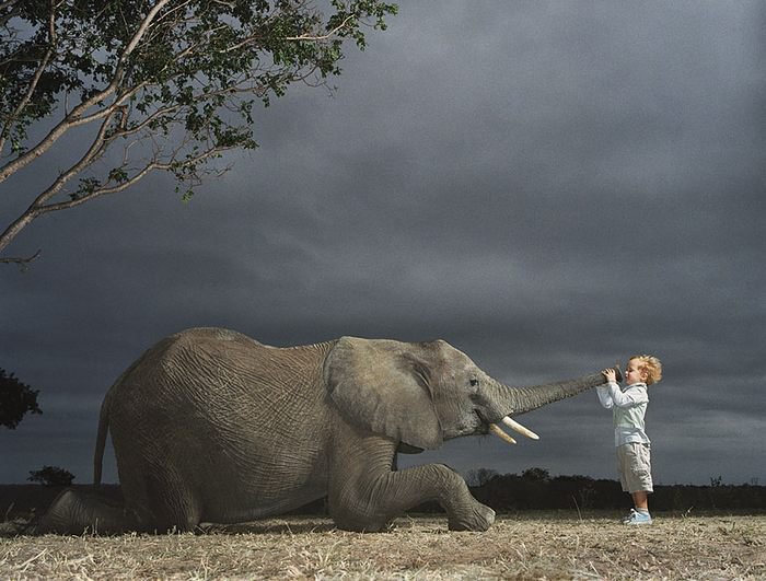 Мальчик и слон - мальчик, природа, животное, слон - оригинал