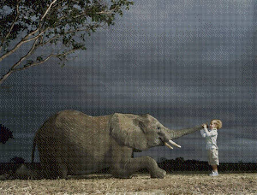 Мальчик и слон - животное, природа, слон, мальчик - предпросмотр