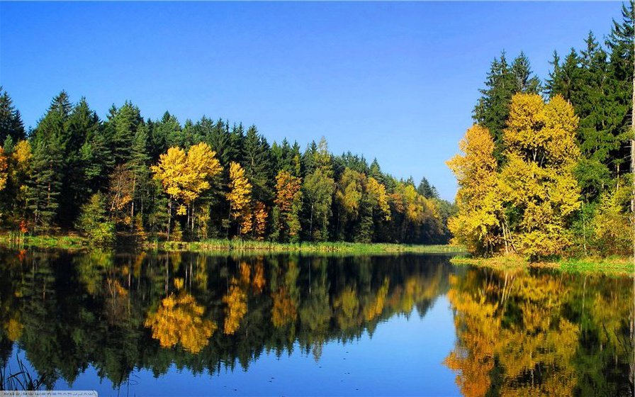 золотая осень - пейзаж. природа. река - оригинал