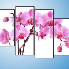 Схема вышивки «полиптих орхидеи»