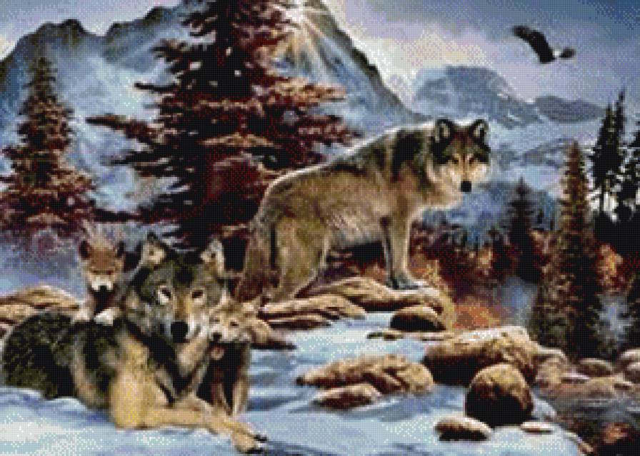 семейство волков - животные, природа, волки - предпросмотр