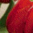 Предпросмотр схемы вышивки «тюльпаны» (№987468)
