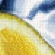 Предпросмотр схемы вышивки «лимон» (№987913)