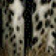 Предпросмотр схемы вышивки «cheetah» (№988486)