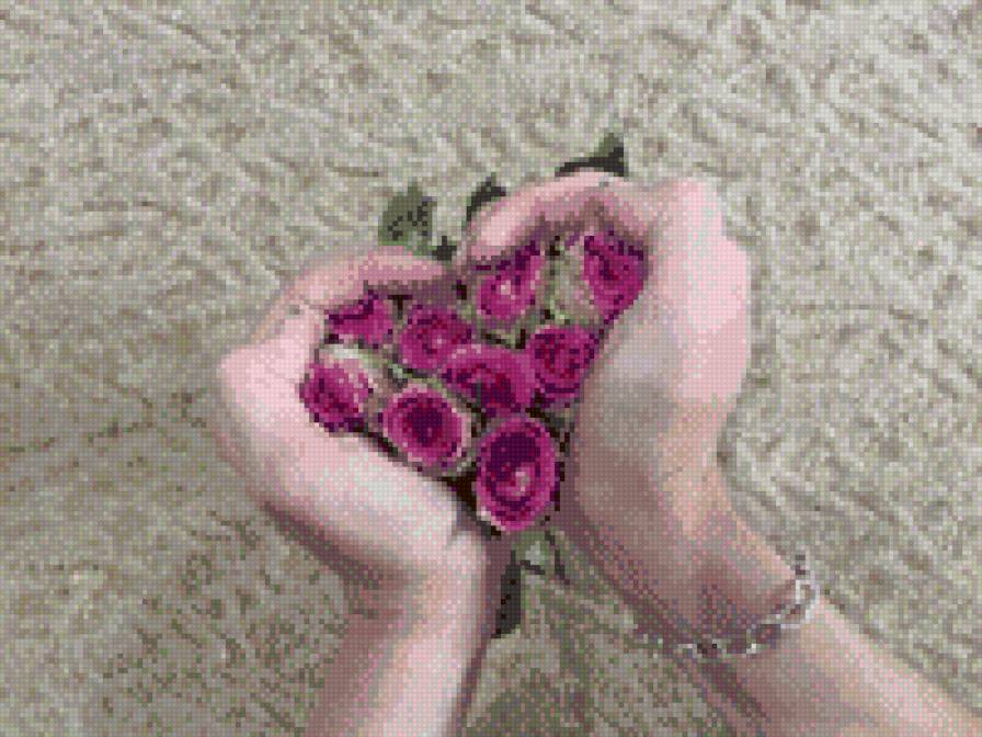 Розы - розы, цветы, сердце, руки - предпросмотр