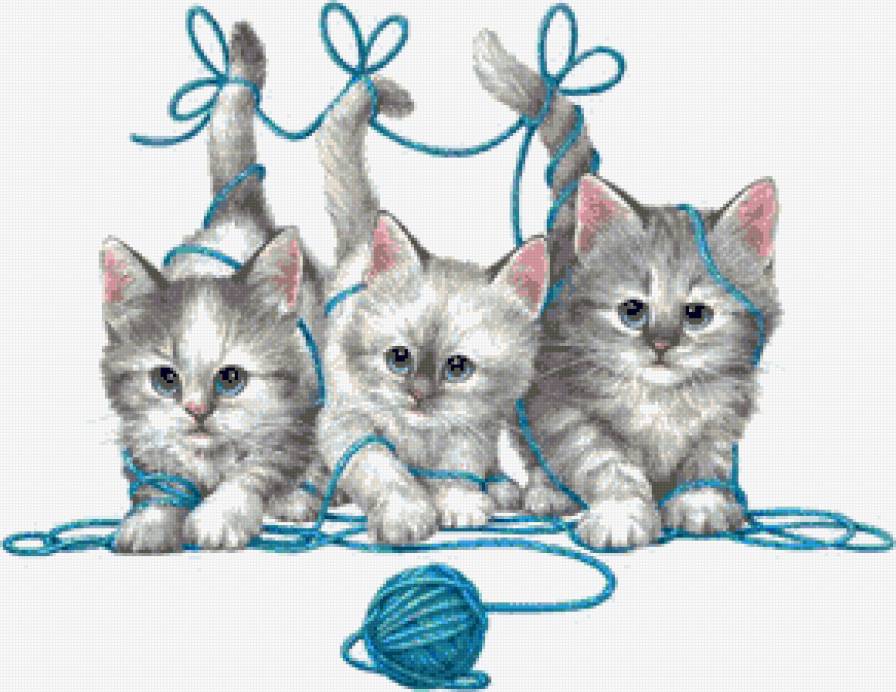 Голубоглазое трио - кошки, котята, трио, клубок - предпросмотр