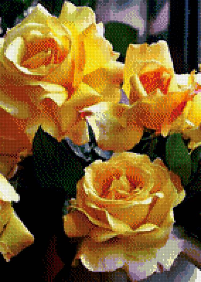 жёлтые розы - розы, букеты, цветы - предпросмотр