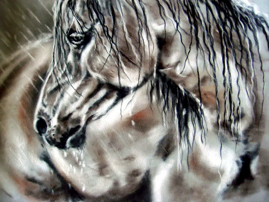 лошадь под дождём - природа, конь, скакун, дождь, графика, лошадь, животное - оригинал