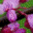 Предпросмотр схемы вышивки «цвет миндаля» (№989691)