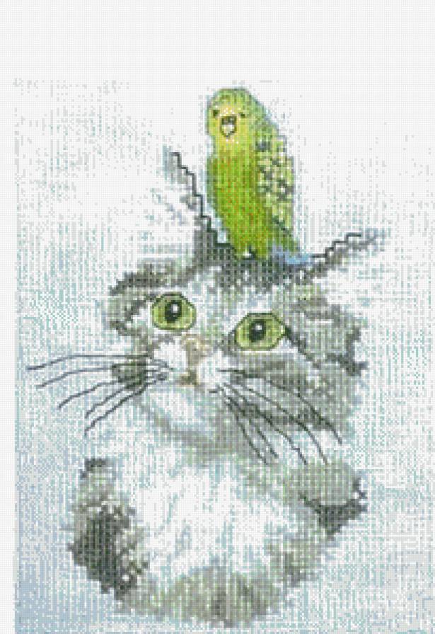 Котенок с попугаем - попугай, котенок - предпросмотр