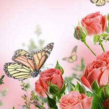 Схема вышивки «бабочка на розах»