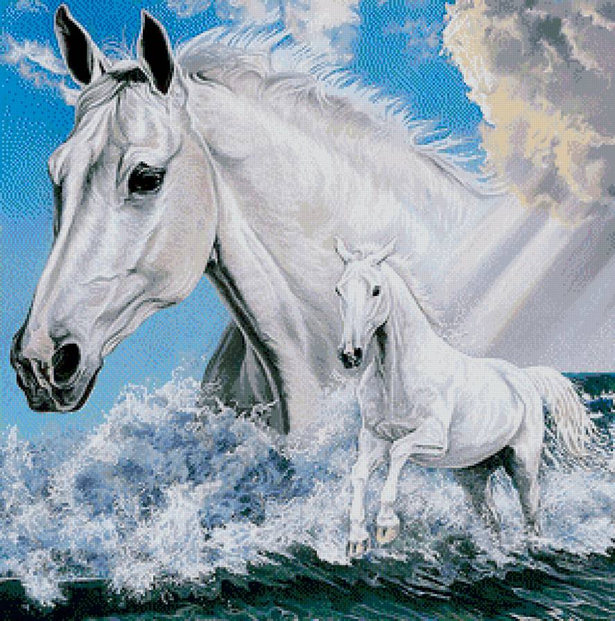 Серия "Лошади, кони" - море, галоп, кобылица, жеребенок - предпросмотр
