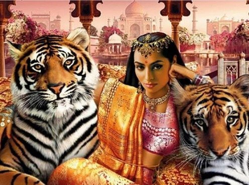 Индианка с тиграми - индия, индианка, экзотика, девушка, тигр - оригинал