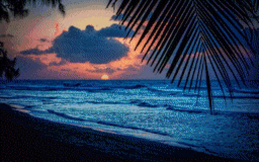 Закат на море - пальма, море, закат - предпросмотр