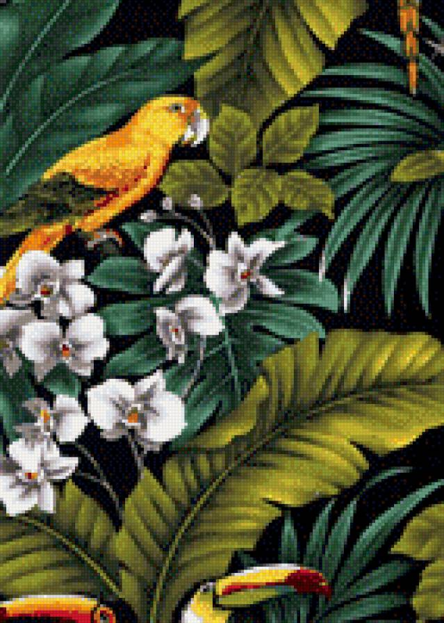 тропики - попугай, птицы, тропики, цветы - предпросмотр