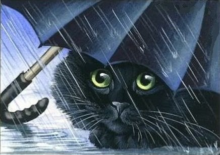 кот под зонтом - кот, дождь - оригинал