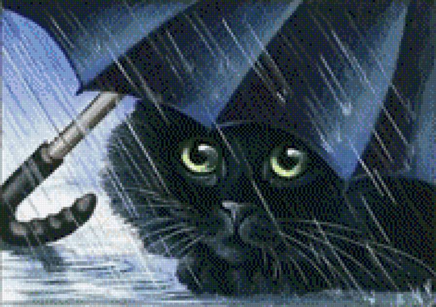 кот под зонтом - дождь, кот - предпросмотр