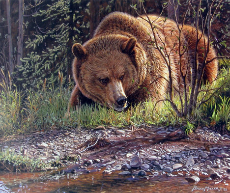 Медведь - дикая природа, медведь - оригинал