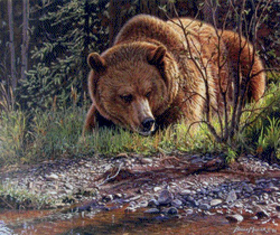 Медведь - дикая природа, медведь - предпросмотр