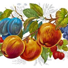 Оригинал схемы вышивки «серия "фрукты"» (№992325)