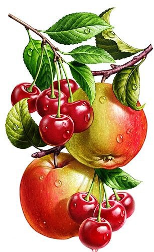 серия "фрукты" - фрукты, яблоки.вишня.черешня - оригинал