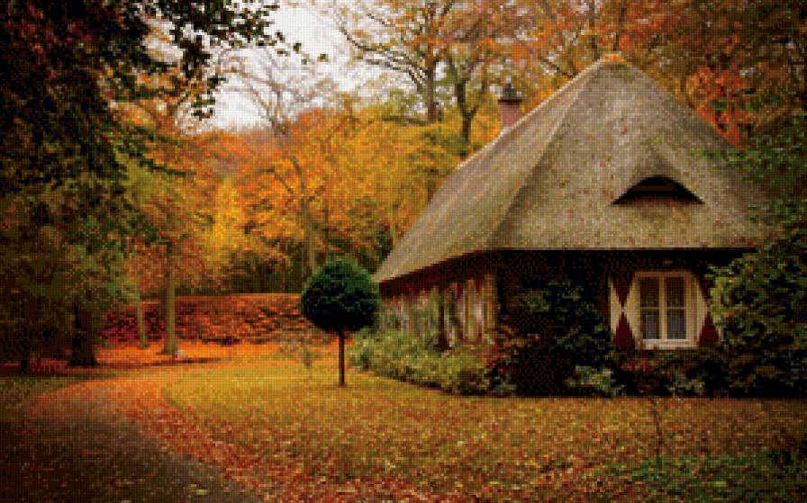 дом в осеннем лесу - дом, деревья, осень, тропинка - предпросмотр