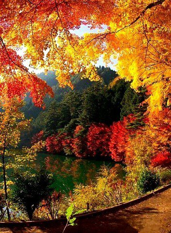 осень - осень река природа - оригинал