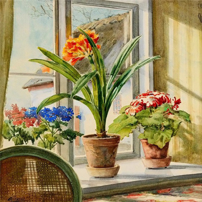 цветы на окне - цветы - оригинал