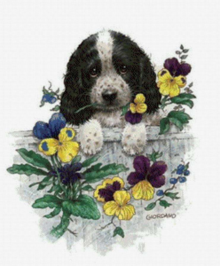 серия "собаки" - животные. собаки.цветы - предпросмотр