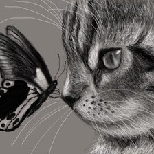 Оригинал схемы вышивки «котёнок и бабочка» (№999052)