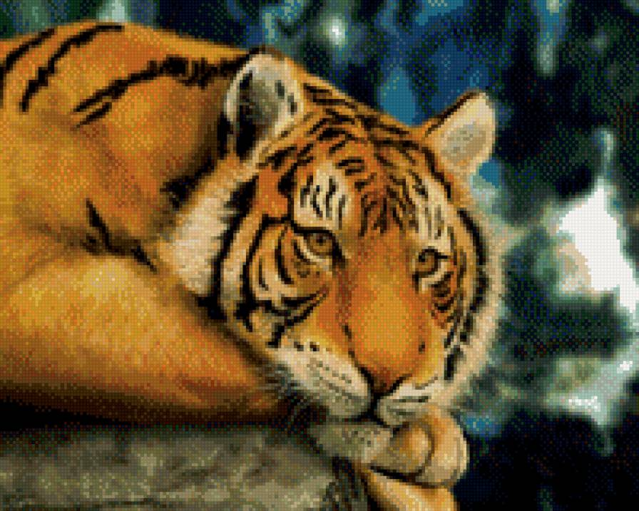Тигр - тигры, тигр, животные - предпросмотр