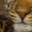 Предпросмотр схемы вышивки «пара леопардов» (№999400)